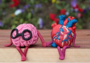 stretta correlazione tra cervello e cuore