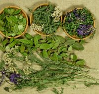 PUNTATE COPERTINE battiti e risposte (Post Instagram (Quadrato)) (Copertina CD)